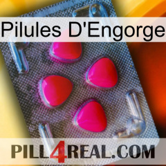 Engorge Pills 13